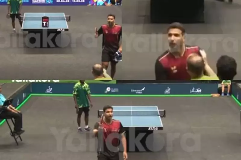 قرارات حاسمة من لجنة القيم ضد عمر عصر ومحمود أشرف